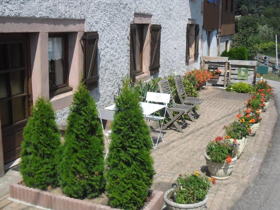 Gite La Fermette A Docelles Dış mekan fotoğraf