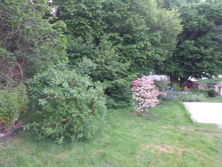 Gite La Fermette A Docelles Dış mekan fotoğraf