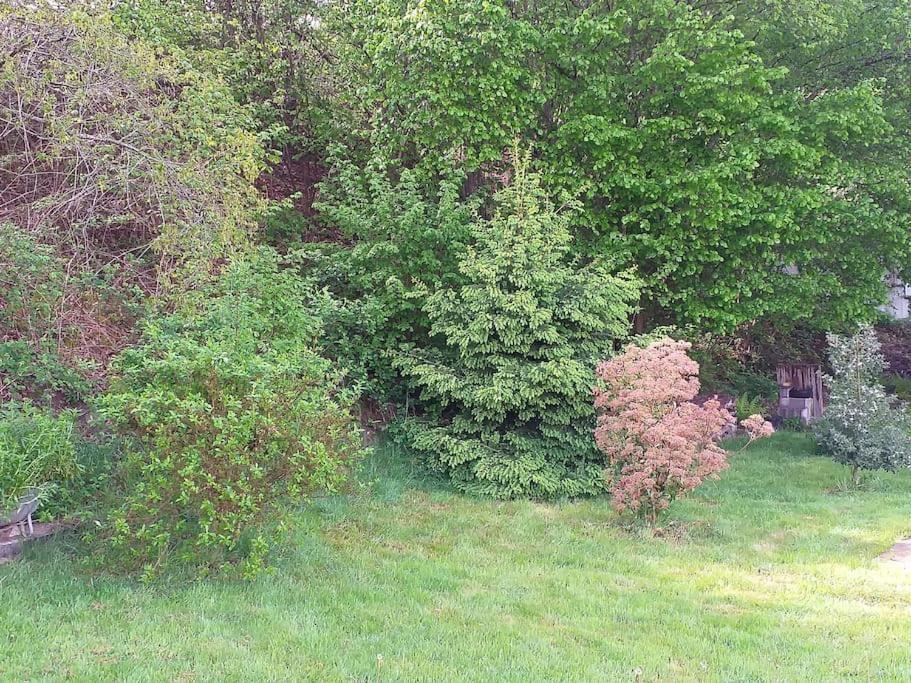 Gite La Fermette A Docelles Dış mekan fotoğraf